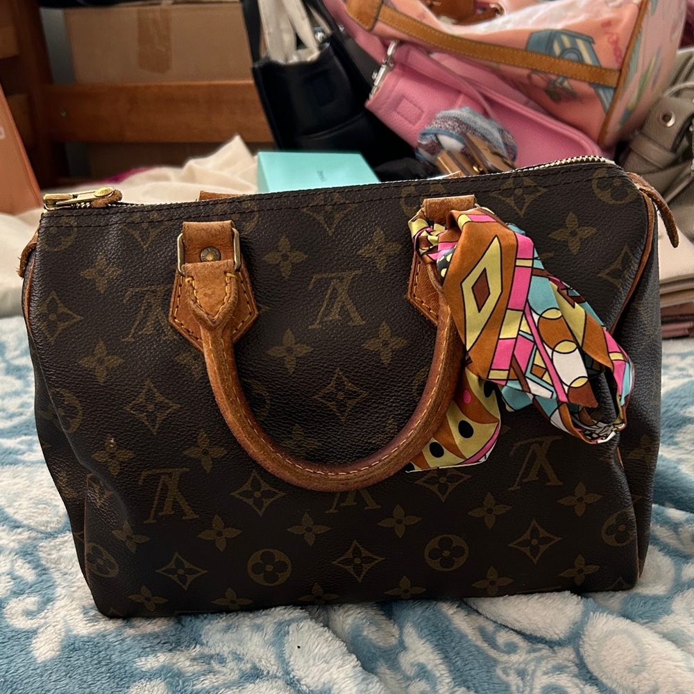Louis Vuitton Speedy Monogram with Colorful Scarf